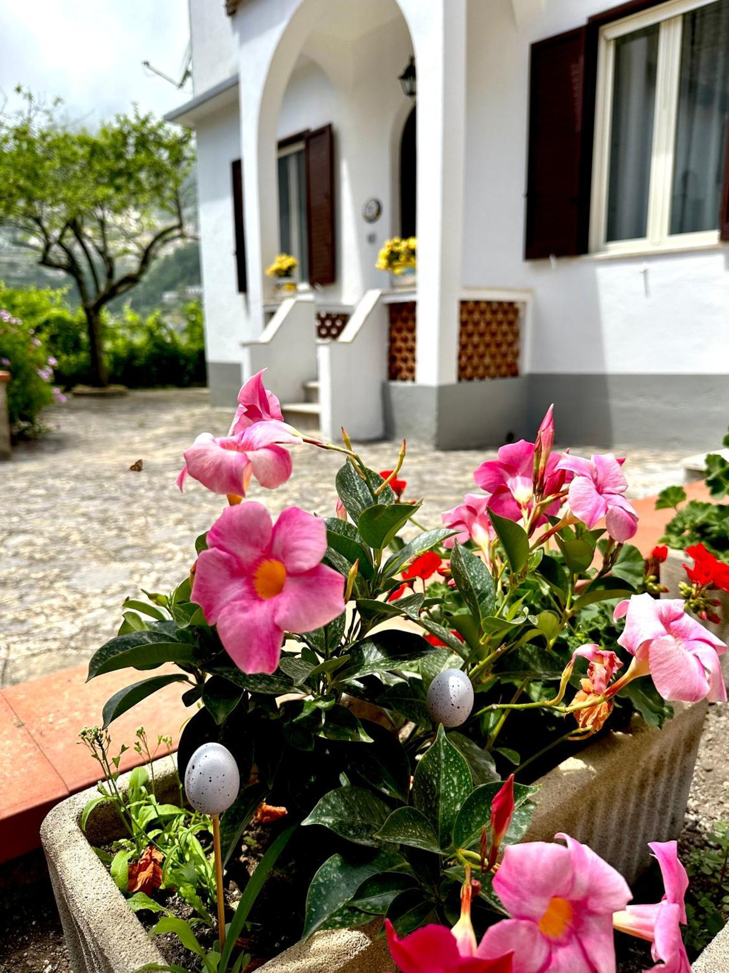 Simona House Villa Ravello Exterior foto